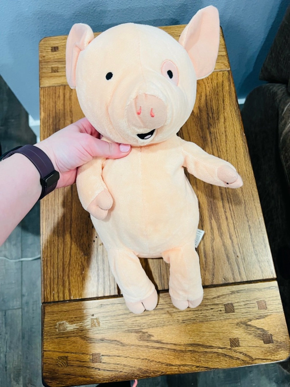 🐷 Kohl’s Cares “If You Give a Pig a Pancake” Plush Stuffed Animal
